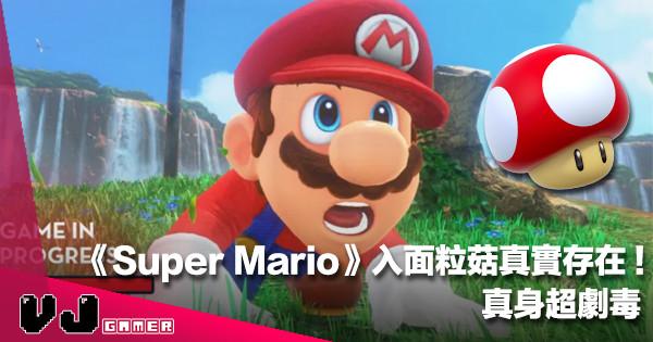 【遊戲花邊】《Super Mario》入面粒菇真實存在！真身超劇毒