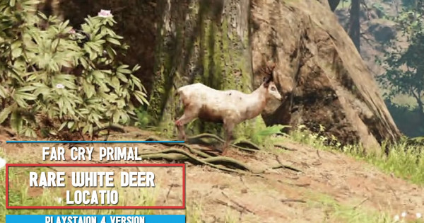 《FarCry:Primal 極地戰嚎:野蠻紀源》 稀有白鹿皮刷法