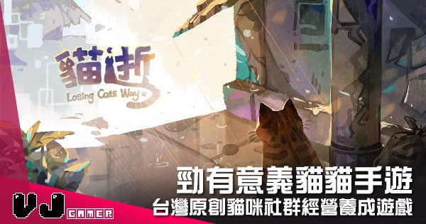 【遊戲介紹】勁有意義貓貓手遊 《貓逝 Losing Cats Way》台灣原創貓咪社群經營養成遊戲