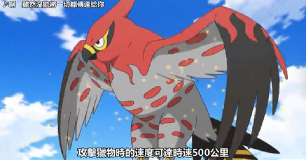 《Pokémon天梯入門》禁MEGA石後必用廚獸－No.663 疾風怒濤！烈箭鷹！