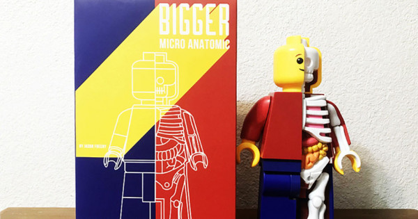 【這不是LEGO】BIGGER MICRO ANATOMIC (JUNIOR) 開箱