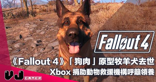【遊戲新聞】《Fallout 4》「狗肉」原型牧羊犬去世・Xbox 捐助動物救援機構呼籲領養