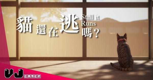 【遊戲介紹】《貓還在逃嗎?》貓咪潛行恐怖冒險 詭異老宅找出真相記得別發出聲音 【遊戲介紹】《貓還在逃嗎?》貓咪潛行恐怖冒險 詭異老宅找出真相記得別發出聲音